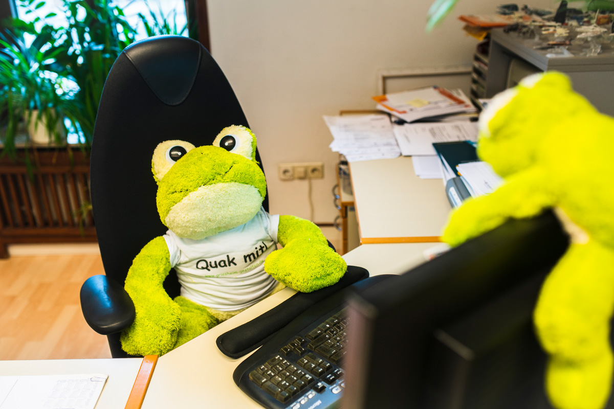 Schreibtisch in der Kommunalverwaltung, auf dem Bürostuhl sitzt ein Plüschfrosch - "Babbel", das Griesheimer Maskottchen der Bürgerbeteiligung